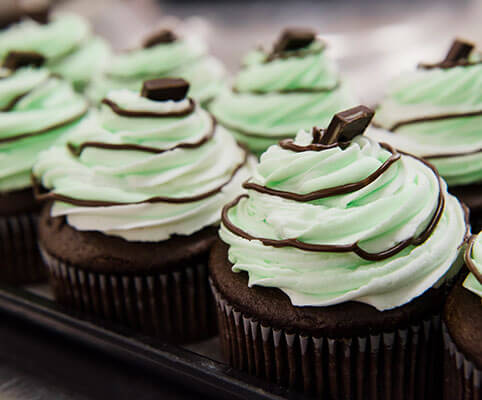 Mint Delight Cupcake