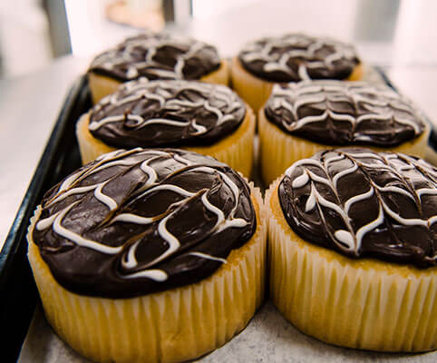Boston Cream Cupcake