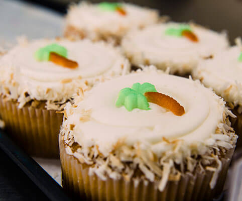 Tropical Coconut Cupcake