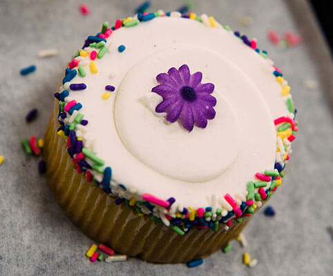 French Vanilla Cupcake